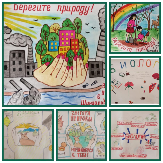 В школе проведен конкурс плакатов "Береги природу! ".
